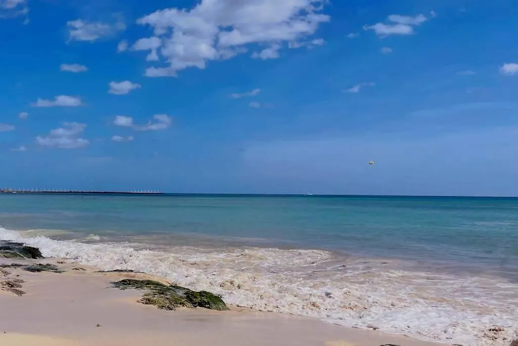 Playa Del Carmen Downtown Studio With Rooftop Pool - Walk To 5Th Ave & The Beach 0*, Playa del Carmen