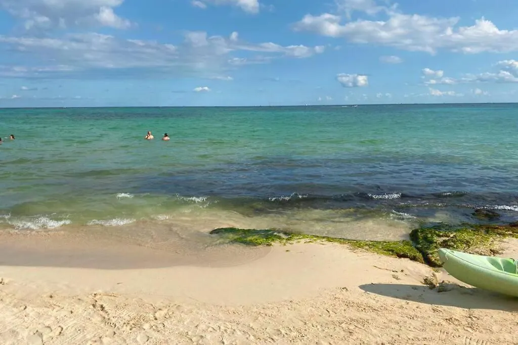 Playa Del Carmen Downtown Studio With Rooftop Pool - Walk To 5Th Ave & The Beach Playa del Carmen