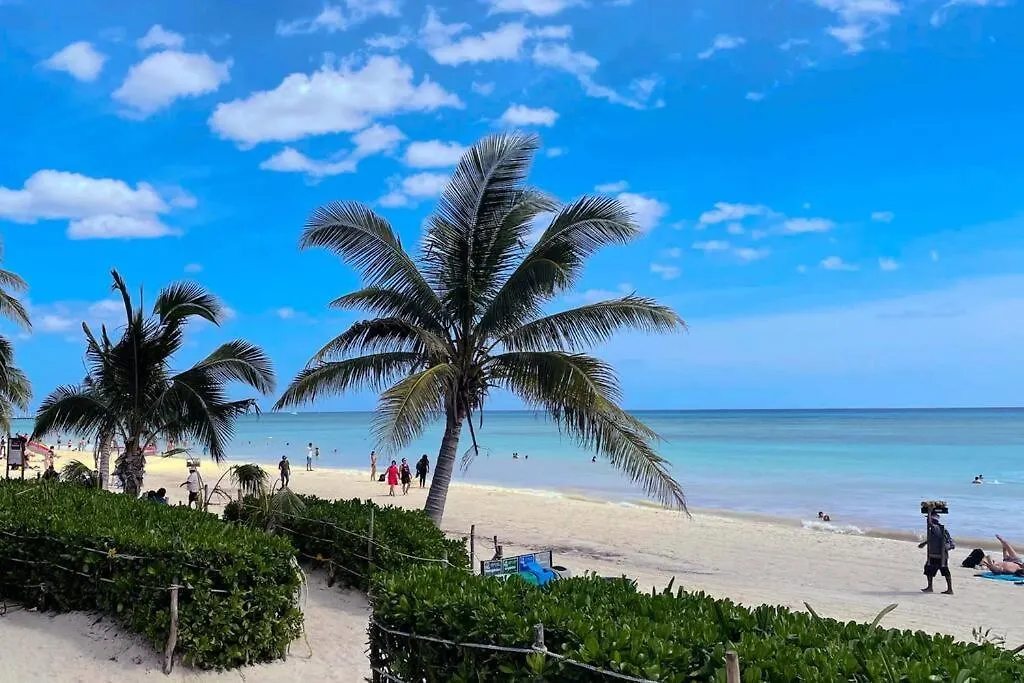 Playa Del Carmen Downtown Studio With Rooftop Pool - Walk To 5Th Ave & The Beach 0*, Playa del Carmen