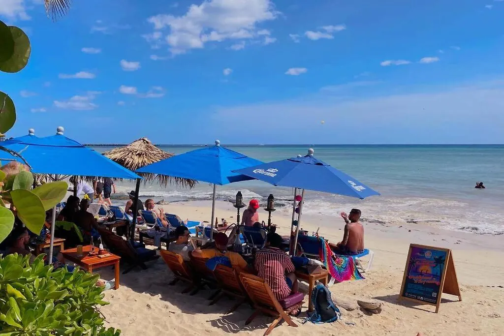 Playa Del Carmen Downtown Studio With Rooftop Pool - Walk To 5Th Ave & The Beach Playa del Carmen
