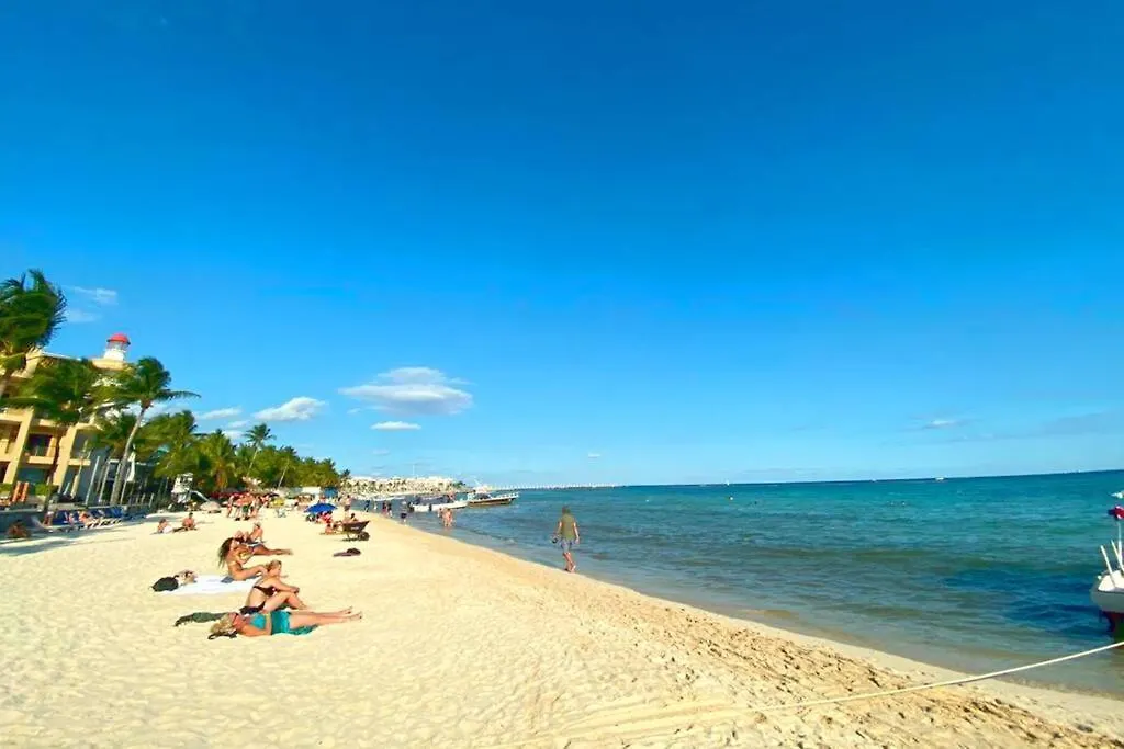 Playa Del Carmen Downtown Studio With Rooftop Pool - Walk To 5Th Ave & The Beach Apartmán Playa del Carmen
